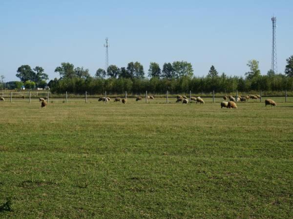 Domek Na Wsi-Agroturystyka Czyze 외부 사진